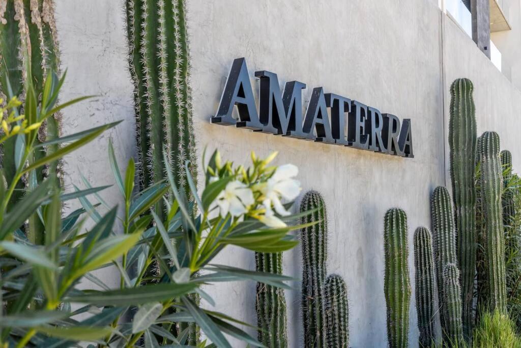 Endless Summer - 2Bed 2Bath Condo - Seasonly Heated Pool With Ocean Views - 5Min Walk To Beach - Fibre Internet - Sleeps 6 Cabo San Lucas Zewnętrze zdjęcie